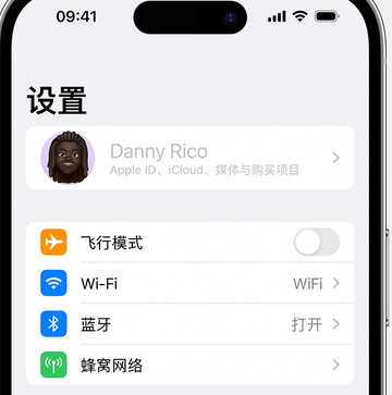 都昌appleID维修服务iPhone设置中Apple ID显示为灰色无法使用 