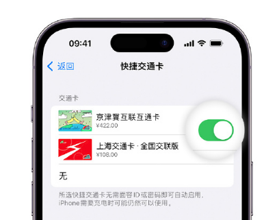 都昌apple维修点分享iPhone上更换Apple Pay快捷交通卡手绘卡面 