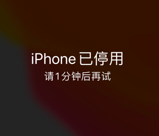 都昌苹果手机维修分享:iPhone 显示“不可用”或“已停用”怎么办？还能保留数据吗？ 