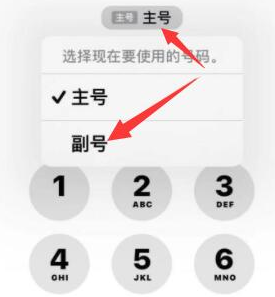 都昌苹果14维修店分享iPhone 14 Pro Max使用副卡打电话的方法 