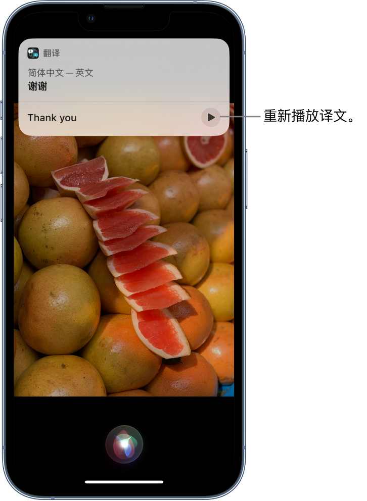 都昌苹果14维修分享 iPhone 14 机型中使用 Siri：了解 Siri 能帮你做什么 