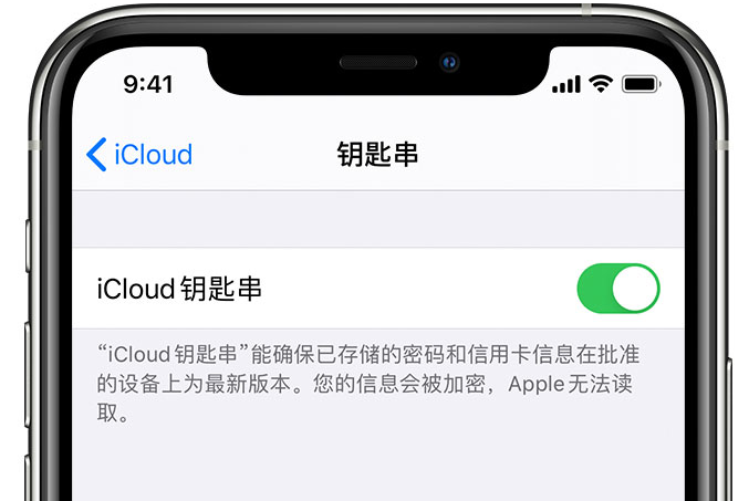 都昌苹果手机维修分享在 iPhone 上开启 iCloud 钥匙串之后会储存哪些信息 