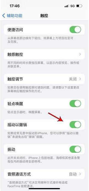 都昌苹果手机维修分享iPhone手机如何设置摇一摇删除文字 