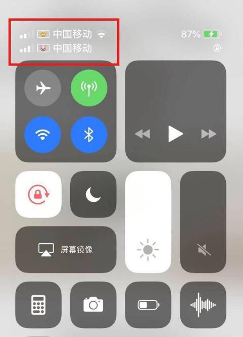 都昌苹果手机维修分享为 iPhone 12 双卡设置标签 