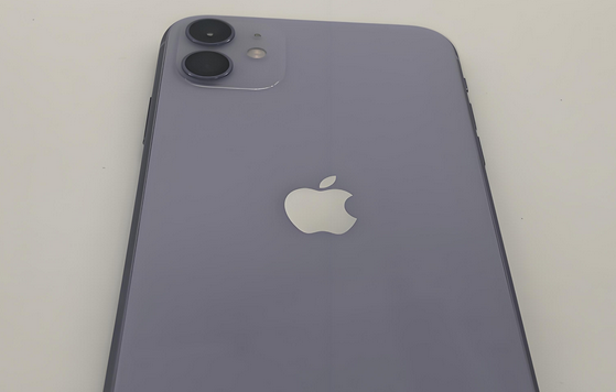 都昌苹果11系统维修分享iPhone11手机系统崩溃无法开机如何解决 